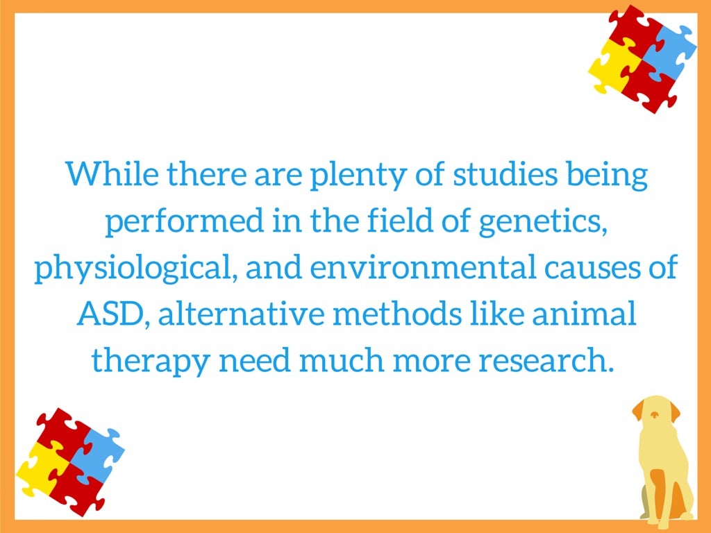 Effective Animal Therapies for Autism Spectrum Disorder