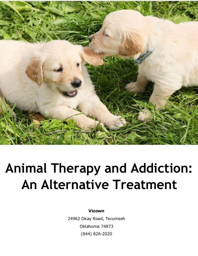 Animal Therapy and Addiction An Alternative Treatment