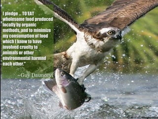I pledge ... TO EAT
wholesome food produced
locally by organic
methods, and to minimize
my consumption of food
which I know to have
involved cruelty to
animals or other
environmental harmnd
each other."

      ~Guy Daunceyi
 
