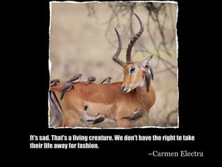 It's sad. That's a living creature. We don't have the right to take
their life away for fashion.
                                               ~Carmen Electra
 