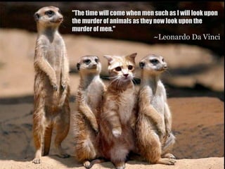 "The time will come when men such as I will look upon
the murder of animals as they now look upon the
murder of men."
                             ~Leonardo Da Vinci
 