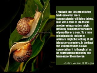 I realized that Eastern thought
had somewhat more
compassion for all living things.
Man was a form of life that in
another reincarnation might
possibly be a horsefly or a bird
of paradise or a deer. So a man
of such a faith, looking at
animals, might be looking at old
friends or ancestors. In the East
the wilderness has no evil
connotation; it is thought of as
an expression of the unity and
harmony of the universe.

     ~Justice William O. Douglas
 