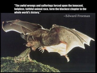 "The awful wrongs and sufferings forced upon the innocent,
helpless, faithful animal race, form the blackest chapter in the
whole world's history."
                                           ~Edward Freeman
 