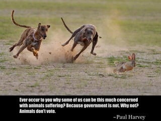 Ever occur to you why some of us can be this much concerned
with animals suffering? Because government is not. Why not?
Animals don't vote.
                                              ~Paul Harvey
 