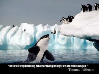 "Until we stop harming all other living beings, we are still savages."
                                                   ~Thomas Jefferson
 