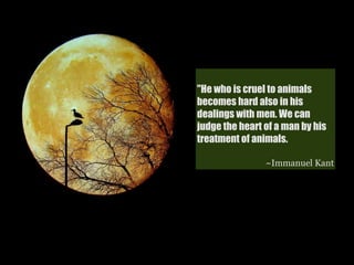 "He who is cruel to animals
becomes hard also in his
dealings with men. We can
judge the heart of a man by his
treatment of animals.

                ~Immanuel Kant
 