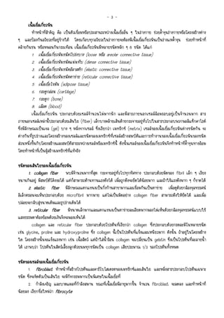 -3-
      เนื้อเยือเกียวพัน
              ่ ่
        ทําหนาที่สําคัญ คือ เปนตัวเชื่อมหรือประสานระหวางเนื้อเยื่ออื่น ๆ ในรางกาย ชวยค้ําจุนรางกายหรือโครงสรางตาง
ๆ และปองกันอวัยวะที่อยูขางใต โดยเกือบทุกอวัยวะในรางกายจะตองมีเนื้อเยื่อเกี่ยวพันเปนรางแหค้ําจุน ชวยทําหนาที่
คลายกันชน หรือหมอนกันกระเทือน เนื้อเยื่อเกี่ยวพันมีหลายชนิดหลัก ๆ 8 ชนิด ไดแก
         1.   เนื้อเยื่อเกี่ยวพันชนิดโปรงบาง (loose หรือ areolar connective tissue)
         2.   เนื้อเยื่อเกี่ยวพันชนิดแนนทึบ (dense connective tissue)
         3.   เนื้อเยื่อเกี่ยวพันชนิดอิลาสติก (elastic connective tissue)
         4.   เนื้อเยื่อเกี่ยวพันชนิดตาขาย (reticular connective tissue)
         5.   เนื้อเยื่อไขมัน (adipose tissue)
         6.   กระดูกออน (cartilage)
         7.   กระดูก (bone)
         8.   เลือด (blood)
          เนื้อเยื่อเกี่ยวพัน ประกอบดวยเซลล จํานวนไมมากนัก และมีสารภายนอกเซลลลอมรอบอยูเปนจํานวนมาก สาร
ภายนอกเซลลเหลานี้ประกอบดวยเสนใย (fiber) เล็กบางคลายเสนดายกระจายอยูทั่วไปในสารประกอบพวกพอลิแซ็กคาไรด
ซึ่งมีลักษณะเปนเจล (gel) บาง ๆ หลั่งจากเซลล ซึ่งเรียกวา เมทริกซ (metrix) เซลลของเนื้อเยื่อเกี่ยวพันตางชนิดกัน จะ
ตางกันที่รูปรางและโครงสรางของเซลลและชนิดของเมทริกซที่เซลลสรางสมบัติและการทํางานของเนื้อเยื่อเกี่ยวพันของชนิด
สวนหนึ่งขึ้นกับโครงสรางและสมบัติสารระหวางเซลลหรือเมทริกซนี้ ดังนั้นเซลลของเนื้อเยื่อเกี่ยวพันจึงทําหนาที่ค้ําจุนทางออม
โดยทําหนาที่เปนผูสรางเมทริกซที่แทจริง

ชนิดของเสนใยของเนื้อเยือเกียวพัน
      ของเส            ่ ่
        1. collagen fiber พบมีจํานวนมากที่สุด กระจายอยูทั่วไปทุกทิศทาง ประกอบดวยมัดของ fibril เล็ก ๆ เรียง
ขนานกันอยู มีสมบัติโคงงอได แตก็สามารถตานทานแรงตึงได เมื่อถูกดึงจะยืดไดนอยมาก และถาใชแรงดึงมาก ๆ ก็ขาดได
        2. elastic fiber มีลักษณะแตกแขนงเปนกิ่งกานสาขามากและเชื่อมกันเปนตาขาย เมื่อดูดวยกลองจุลทรรศน
                     fiber
อิเล็กตรอนจะเห็นประกอบดวย microfibril มากมาย แตไมเปนมัดอยาง collagen fiber สามารถดึงใหยืดได และเมื่อ
ปลอยจะกลับสูขนาดเดิมและรูปรางเดิมได
        3. reticular fiber มีขนาดเล็กมากและแตกแขนงเปนตาขายละเอียดมากมองไมเห็นดวยกลองจุลทรรศนแบบใช
แสงธรรมดาตองยอมดวยเงินจึงจะมองเห็นได
          collagen และ reticular fiber ประกอบดวยโปรตีนที่เรียกวา collagen ซึ่งประกอบดวยกรดอะมิโนหลายชนิด
เชน glycine, proline และ hydroxyproline ซึ่ง collagen นี้เปนโปรตีนที่แข็งและเหนียวมาก ดังนั้น ถาอยูในโครงสราง
ใด โครงสรางนั้นจะแข็งแรงมาก เชน เนื้อสัตว แตถาใสน้ํารอน collagen จะเปลี่ยนเปน gelatin ซึ่งเปนโปรตีนที่ละลายน้ํา
ได เราพบวา โปรตีนในสัตวเลี้ยงลูกดวยนมทุกชนิดเปน collagen เสียประมาณ 1/3 ของโปรตีนทั้งหมด

ชนิดของเซลลของเนื้อเยือเกียวพัน
                        ่ ่
      1. fibroblast ทําหนาที่สรางโปรตีนและคารโบไฮเดรตของเมทริกซและเสนใย และหลั่งสารประกอบโปรตีนเฉพาะ
ชนิด ซึ่งจะจัดตัวเปนเสนใย จะมีกิจกรรมมากเปนพิเศษในเนื้อเยื่อที่
      2. กําลังเจริญ และบาดแผลที่กําลังสมาน ขณะที่เนื้อเยื่อมีอายุมากขึ้น จํานวน fibroblast จะลดลง และทําหนาที่
นอยลง เรียกชื่อใหมวา fibrocyte
 