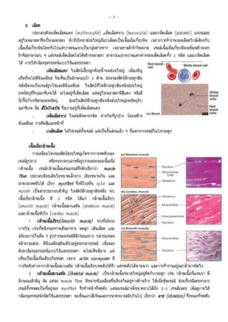 -7-
      8. เลือด
           ประกอบดวยเม็ดเลือดแดง (erythrocyth) ,เม็ดเลือดขาว (leucocyte) และเกล็ดเลือด (platelet) แขวนลอย
อยูในพลาสมาซึ่งเปนของเหลว นักชีววิทยาสวนใหญถือวาเลือดเปนเนื้อเยื่อเกี่ยวพัน เพราะการทํางานของเลือดใกลเคียงกับ
เนื้อเยื่อเกี่ยวพันโดยทั่วไปแตบางคนแยกเปนกลุมตางหาก เพราะตามคําจํากัดความ เซลลเนื้อเยื่อเกี่ยวพันจะตองสรางเมท
ริกซออกมารอบ ๆ แตเซลลเม็ดเลือดไมไดสรางพลาสมา สามารถแยกความแตกตางของเม็ดเลือดทั้ง 2 ชนิด และเกล็ดเลือด
ได ภายใตกลองจุลทรรศนแบบใชแสงธรรมดา
           -        เม็ดเลือดแดง ในสัตวเลี้ยงลูกดวยน้ํานมสวนใหญ เมื่อเจริญ
เต็มที่จะไมมีนิวเคลียส จึงเห็นเปนลักษณะเวา 2 ดาน สวนของสัตวมีกระดูกสัน
หลังอื่นจะเปนเซลลรูปไขและมีนิวเคลียส ในสัตวที่ไมมีกระดูกสันหลังสวนใหญ
รงควัตถุที่จับออกซิเจนได จะไมอยูที่เม็ดเลือด แตอยูในพลาสมามีสีแดง หรือสี
ฟาขึ้นกับชนิดของรงควัตถุ         สวนในสัตวมีกระดูกสันหลังสวนใหญรงควัตถุจับ
ออกซิเจน คือ ฮีโมโกลบิน ซึ่งเกาะอยูที่เม็ดเลือดแดง
           -        เม็ดเลือดขาว ในคนมีหลายชนิด ตางกันที่รูปราง โครงสราง
นิวเคลียส การติดสีและหนาที่
           -        เกล็ดเลือด ไมใชเซลลทั้งเซลล แตเปนชิ้นสวนเล็ก ๆ ที่แตกจากเซลลในไขกระดูก

         เนื้อเยือกลามเนื้อ
                 ่
           การเคลื่อนไหวของสัตวสวนใหญเกิดจากการหดตัวของ
เซลลรูปยาว            หรือทรงกระบอกหรือรูปกระสวยของเนื้อเยื่อ
กลามเนื้อ เซลลกลามเนื้อแตละเซลลซึ่งมักเรียกวา muscle
fiber ประกอบดวยเสนใยขนาดเล็กยาว เรียงขนานกัน และ
สามารถหดตัวได เรียก myofibril ซึ่งมีโปรตีน actin และ
myosin เปนสารประกอบสําคัญ ในสัตวมีกระดูกสันหลัง พบ
เนื้อเยื่อกลามเนื้อ มี 3 ชนิด ไดแก กลามเนื้อเรียบ
(smooth muscle) กลามเนื้อสเกเลตัล (skeleton muscle)
และกลามเนื้อหัวใจ (cardiac muscle)
         1. กลามเนือเรียบ(Smooth muscle) พบที่อวัยวะ
                       ้ บ(Smooth
ภายใน เชนที่ผนังของทางเดินอาหาร มดลูก เสนเลือด และ
อวัยวะภายในอื่น ๆ รูปรางของเซลลมีลักษณะยาว ปลายแหลม
คลายกระสวย มีนิวเคลียสอันเดียวอยูตรงกลางเซลล เมื่อมอง
ดวยกลองจุลทรรศนแบบใชแสงธรรมดา จะไมเห็นมีลาย แต
เห็นเปนเนื้อเยื่อเดียวกันหมด เพราะ actin และmyosin มี
การจัดตัวตางจากกลามเนื้อสเกเลตัล กลามเนื้อเรียบหดตัวไดชา แตหดตัวไดนานมาก และการทํางานอยูนอกอํานาจจิตใจ
         2. กลามเนือสเกเลตัล (Skeletal muscle) เปนกลามเนื้อขนาดใหญอยูติดกับกระดูก เชน กลามเนื้อที่แขนขา มี
                        ้
ลักษณะสําคัญ คือ แตละ muscle fiber มีหลายนิวเคลียสซึ่งเรียงกันอยูทางดานขาง ใตเยื่อหุมเซลล สวนที่เหลือตรงกลาง
เซลลทั้งหมดเปนที่อยูของ myofibril ซึ่งทําหนาที่หดตัว แตละเซลลอาจมีขนาดยาวไดถึง 2-3 เซนติเมตร เมื่อดูภายใต
กลองจุลทรรศนชนิดใชแสงธรรมดา จะเห็นแถบสีเขมและจางพาดขวางสลับกันไป เรียกวา ลาย (striation) ซึ่งขณะที่หดตัว
                                                                                           striation)
 