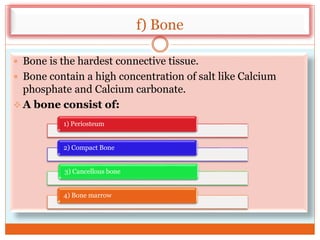 f) Bone
 Bone is the hardest connective tissue.
 Bone contain a high concentration of salt like Calcium
phosphate and Calcium carbonate.
 A bone consist of:
1) Periosteum
2) Compact Bone
3) Cancellous bone
4) Bone marrow
 