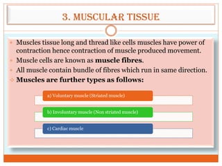 3. Muscular tissue
 Muscles tissue long and thread like cells muscles have power of
contraction hence contraction of muscle produced movement.
 Muscle cells are known as muscle fibres.
 All muscle contain bundle of fibres which run in same direction.
 Muscles are further types as follows:
a) Voluntary muscle (Striated muscle)
b) Involuntary muscle (Non striated muscle)
c) Cardiac muscle
 