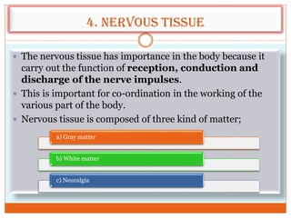 4. Nervous tissue
 The nervous tissue has importance in the body because it
carry out the function of reception, conduction and
discharge of the nerve impulses.
 This is important for co-ordination in the working of the
various part of the body.
 Nervous tissue is composed of three kind of matter;
a) Gray matter
b) White matter
c) Neuralgia
 