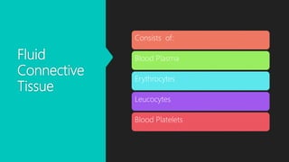 Fluid
Connective
Tissue
Consists of:
Blood Plasma
Erythrocytes
Leucocytes
Blood Platelets
 