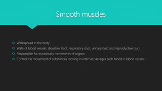 Smooth muscles
 Widespread in the body
 Walls of blood vessels, digestive tract, respiratory duct, urinary duct and reproductive duct
 Responsible for involuntary movements of organs
 Control the movement of substances moving in internal passages such blood in blood vessels
 