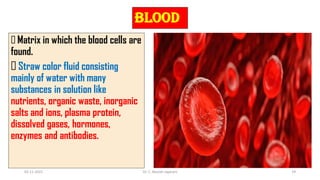 BLOOD
Matrix in which the blood cells are
found.
Straw color fluid consisting
mainly of water with many
substances in solution like
nutrients, organic waste, inorganic
salts and ions, plasma protein,
dissolved gases, hormones,
enzymes and antibodies.
02-11-2022 Dr. C. Beulah Jayarani 19
 
