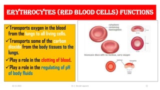 ERYTHROCYTES (RED BLOOD CELLS) FUNCTIONS
Transports oxygen in the blood
from the lungs to all living cells.
Transports some of the carbon
dioxide from the body tissues to the
lungs.
Play a role in the clotting of blood.
Play a role in the regulating of pH
of body fluids
02-11-2022 Dr. C. Beulah Jayarani 21
 