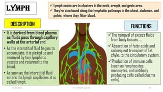 LYMPH
DESCRIPTION
• It is derived from blood plasma
as fluids pass through capillary
walls at the arterial end.
• As the interstitial fluid begins to
accumulate, it is picked up and
removed by tiny lymphatic
vessels and returned to the
blood.
• As soon as the interstitial fluid
enters the lymph capillaries, it is
called lymph.
FUNCTIONS
The removal of excess fluids
from body tissues. ...
Absorption of fatty acids and
subsequent transport of fat,
chyle, to the circulatory system.
Production of immune cells
(such as lymphocytes,
monocytes, and antibody
producing cells called plasma
cells).
 Lymph nodes are in clusters in the neck, armpit, and groin area.
 They're also found along the lymphatic pathways in the chest, abdomen, and
pelvis, where they filter blood.
02-11-2022 Dr. C. Beulah Jayarani 26
 