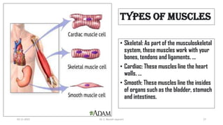 types of muscles
• Skeletal: As part of the musculoskeletal
system, these muscles work with your
bones, tendons and ligaments. ...
• Cardiac: These muscles line the heart
walls. ...
• Smooth: These muscles line the insides
of organs such as the bladder, stomach
and intestines.
02-11-2022 Dr. C. Beulah Jayarani 27
 