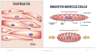 02-11-2022 Dr. C. Beulah Jayarani 29
 