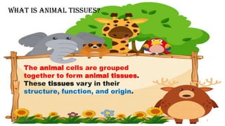What is Animal tissues?
The animal cells are grouped
together to form animal tissues.
These tissues vary in their
structure, function, and origin.
02-11-2022 Dr. C. Beulah Jayarani 3
 
