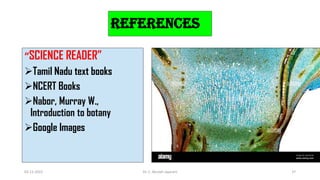 REFERENCES
“SCIENCE READER”
Tamil Nadu text books
NCERT Books
Nabor, Murray W.,
Introduction to botany
Google Images
02-11-2022 Dr. C. Beulah Jayarani 37
 