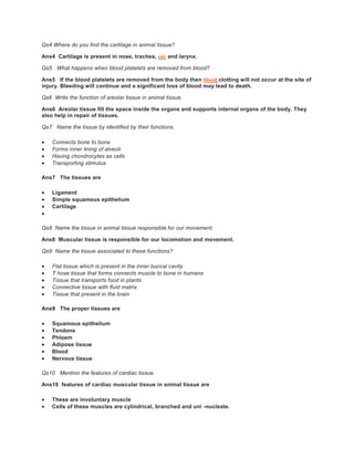 Qs4 Where do you find the cartilage in animal tissue?
Ans4 Cartilage is present in nose, trachea, ear and larynx.
Qs5 What happens when blood platelets are removed from blood?
Ans5 If the blood platelets are removed from the body then blood clotting will not occur at the site of
injury. Bleeding will continue and a significant loss of blood may lead to death.
Qs6 Write the function of areolar tissue in animal tissue.
Ans6 Areolar tissue fill the space inside the organs and supports internal organs of the body. They
also help in repair of tissues.
Qs7 Name the tissue by identified by their functions.
 Connects bone to bone
 Forms inner lining of alveoli
 Having chondrocytes as cells
 Transporting stimulus
Ans7 The tissues are
 Ligament
 Simple squamous epithelium
 Cartilage

Qs8 Name the tissue in animal tissue responsible for our movement.
Ans8 Muscular tissue is responsible for our locomotion and movement.
Qs9 Name the tissue associated to these functions?
 Flat tissue which is present in the inner buccal cavity
 T hose tissue that forms connects muscle to bone in humans
 Tissue that transports food in plants
 Connective tissue with fluid matrix
 Tissue that present in the brain
Ans9 The proper tissues are
 Squamous epithelium
 Tendons
 Phloem
 Adipose tissue
 Blood
 Nervous tissue
Qs10 Mention the features of cardiac tissue.
Ans10 features of cardiac muscular tissue in animal tissue are
 These are involuntary muscle
 Cells of these muscles are cylindrical, branched and uni -nucleate.
 