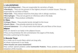1. Cells (OLYMPIAD)
•Fat Cells (Adipocytes) – They are responsible for secretion of lipids.
•Fibroblasts – They are the present in the highest amount in areolar tissues. They are
responsible for secretion of fibres.
•Mast Cells – They release histamine that plays role in allergic reactions
•Macrophages – They eat any germs or infectious cells in the body
•Plasma Cells – They produce antibodies
2. Fibres
•Collagen Fibres – They provide tensile strength to the tissue
•Elastin Fibres – They provide elasticity to the tissue
•Ground Substance – It is a fluid matrix that holds cells and fibres of the tissue
Adipose
•Fats are stored in our body in the adipose tissues.
•They are found below the skin and between the organs of the body.
•Provides cushioning to the organs.
3. Muscular Tissue
•It is made up of muscle fibers which are long cells.
•It allows movements in our body.
•How muscles can cause movement?
They contain special proteins called Contractile Proteins. These proteins cause contraction and
relaxation of the muscles.
 