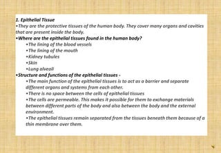 1. Epithelial Tissue
•They are the protective tissues of the human body. They cover many organs and cavities
that are present inside the body.
•Where are the epithelial tissues found in the human body?
•The lining of the blood vessels
•The lining of the mouth
•Kidney tubules
•Skin
•Lung alveoli
•Structure and functions of the epithelial tissues -
•The main function of the epithelial tissues is to act as a barrier and separate
different organs and systems from each other.
•There is no space between the cells of epithelial tissues
•The cells are permeable. This makes it possible for them to exchange materials
between different parts of the body and also between the body and the external
environment.
•The epithelial tissues remain separated from the tissues beneath them because of a
thin membrane over them.
 