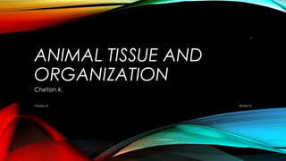 ANIMAL TISSUE AND
ORGANIZATION
Chetan k.
02/26/16Chetan K.
1
 