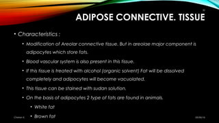 ADIPOSE CONNECTIVE. TISSUE
• Characteristics :
• Modification of Areolar connective tissue. But in areolae major component...