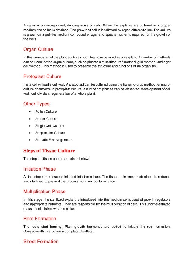 A callus is an unorganized, dividing mass of cells. When the explants are cultured in a proper
medium, the callus is obtained. The growth of callus is followed by organ differentiation. The culture
is grown on a gel-like medium composed of agar and specific nutrients required for the growth of
the cells.
Organ Culture
In this, any organ of the plant such as shoot, leaf, can be used as an explant. A number of methods
can be used for the organ culture, such as plasma clot method, raft method, grid method, and agar
gel method. This method is used to preserve the structure and functions of an organism.
Protoplast Culture
It is a cell without a cell wall. A protoplast can be cultured using the hanging-drop method, or micro-
culture chambers. In protoplast culture, a number of phases can be observed: development of cell
wall, cell division, regeneration of a whole plant.
Other Types
 Pollen Culture
 Anther Culture
 Single Cell Culture
 Suspension Culture
 Somatic Embryogenesis
Steps of Tissue Culture
The steps of tissue culture are given below:
Initiation Phase
At this stage, the tissue is initiated into the culture. The tissue of interest is obtained, introduced
and sterilized to prevent the process from any contamination.
Multiplication Phase
In this stage, the sterilized explant is introduced into the medium composed of growth regulators
and appropriate nutrients. They are responsible for the multiplication of cells. This undifferentiated
mass of cells is known as a callus.
Root Formation
The roots start forming. Plant growth hormones are added to initiate the root formation.
Consequently, we obtain a complete plantlets.
Shoot Formation
 