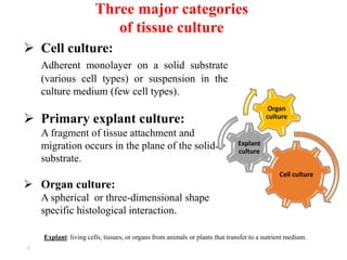 Cell culture
Explant
culture
Organ
culture
3
 Cell culture:
Adherent monolayer on a solid substrate
(various cell types) or suspension in the
culture medium (few cell types).
 Primary explant culture:
A fragment of tissue attachment and
migration occurs in the plane of the solid
substrate.
 Organ culture:
A spherical or three-dimensional shape
specific histological interaction.
Three major categories
of tissue culture
Explant: living cells, tissues, or organs from animals or plants that transfer to a nutrient medium.
 