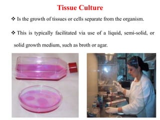 Tissue Culture
 Is the growth of tissues or cells separate from the organism.
 This is typically facilitated via use of a liquid, semi-solid, or
solid growth medium, such as broth or agar.
6
 