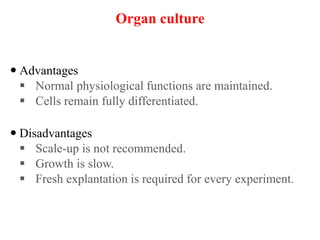  Advantages
 Normal physiological functions are maintained.
 Cells remain fully differentiated.
 Disadvantages
 Scale-up is not recommended.
 Growth is slow.
 Fresh explantation is required for every experiment.
Organ culture
 