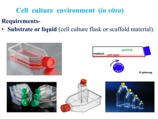 Cell culture environment (in vitro)
Requirements-
• Substrate or liquid (cell culture flask or scaffold material).
 