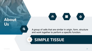 17
Sponsorship Deck
About
Us
SIMPLE TISSUE
17
A group of cells that are similar in origin, form, structure
and work together to perform a specific function.
 