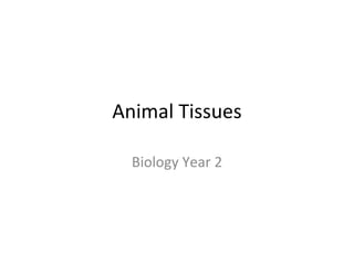 Animal Tissues Biology Year 2 