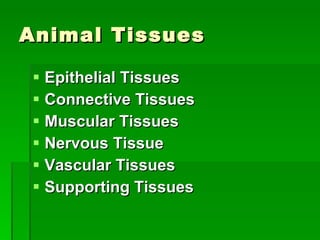 Animal Tissues Epithelial Tissues Connective Tissues Muscular Tissues Nervous Tissue Vascular Tissues Supporting Tissues 