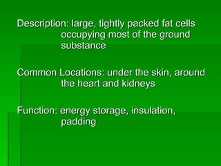 Description: large, tightly packed fat cells  occupying most of the ground  substance Common Locations: under the skin, around  the heart and kidneys Function: energy storage, insulation,  padding 