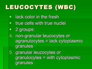 LEUCOCYTES (WBC) lack color in the fresh true cells with true nuclei 2 groups: non-granular leucocytes or agranulocytes = lack cytoplasmic granules granular leucocytes or granulocytes = with cytoplasmic granules 