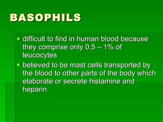 BASOPHILS difficult to find in human blood because they comprise only 0.5 – 1% of leucocytes believed to be mast cells transported by the blood to other parts of the body which elaborate or secrete histamine and heparin 