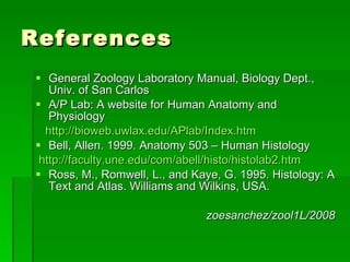 References General Zoology Laboratory Manual, Biology Dept., Univ. of San Carlos A/P Lab: A website for Human Anatomy and Physiology http://bioweb.uwlax.edu/APlab/Index.htm Bell, Allen. 1999. Anatomy 503 – Human Histology  http://faculty.une.edu/com/abell/histo/histolab2.htm Ross, M., Romwell, L., and Kaye, G. 1995. Histology: A Text and Atlas. Williams and Wilkins, USA. zoesanchez/zool1L/2008 