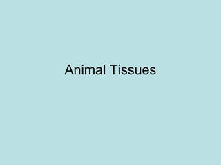 Animal Tissues
 
