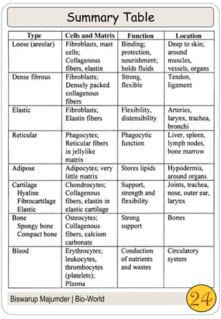 Biswarup Majumder | Bio-World
Summary Table
24
 