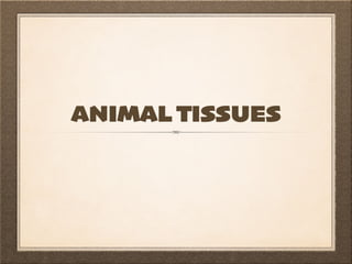 ANIMAL TISSUES
 