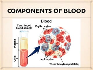 COMPONENTS OF BLOOD
 
