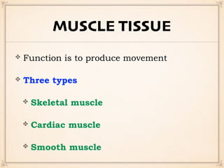 MUSCLE TISSUE
Function is to produce movement
Three types
Skeletal muscle
Cardiac muscle
Smooth muscle
 