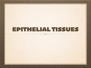 EPITHELIAL TISSUES
 