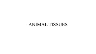 ANIMAL TISSUES
 