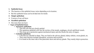 1. Epithelial tissue
⮚ The function of the epithelial tissue varies depending on its location.
⮚ But this epithelial tissue can be divided into two kinds:
● Simple epithelium
⮚ Consists of one cell layer.
● Stratified epithelium
⮚ Has more than one layer.
• Types of Epithelial tissue
• Squamous epithelium
• Thin flat cells that are closely packed.
• The squamous epithelial cells line the cavities of the mouth, esophagus, alveoli and blood vessels.
• This tissue gives protection against mechanical injury and also blocks the entry of organs.
• Cuboidal epithelium
• Cells that are cuboidal in shape. They are fund in the salivary glands, kidney tubules, sweat glands, etc.
• Their main function includes absorption, secretion and excretion.
• It is found on the inner side of the pancreatic ducts and salivary glands. They mainly help in protection.
 