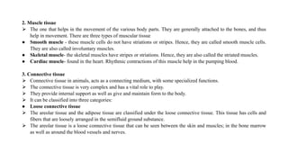 2. Muscle tissue
⮚ The one that helps in the movement of the various body parts. They are generally attached to the bones, and thus
help in movement. There are three types of muscular tissue
● Smooth muscle - these muscle cells do not have striations or stripes. Hence, they are called smooth muscle cells.
They are also called involuntary muscles.
● Skeletal muscle- the skeletal muscles have stripes or striations. Hence, they are also called the striated muscles.
● Cardiac muscle- found in the heart. Rhythmic contractions of this muscle help in the pumping blood.
3. Connective tissue
⮚ Connective tissue in animals, acts as a connecting medium, with some specialized functions.
⮚ The connective tissue is very complex and has a vital role to play.
⮚ They provide internal support as well as give and maintain form to the body.
⮚ It can be classified into three categories:
● Loose connective tissue
⮚ The areolar tissue and the adipose tissue are classified under the loose connective tissue. This tissue has cells and
fibers that are loosely arranged in the semifluid ground substance.
⮚ The areolar tissue is a loose connective tissue that can be seen between the skin and muscles; in the bone marrow
as well as around the blood vessels and nerves.
 